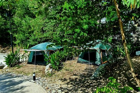 Camping