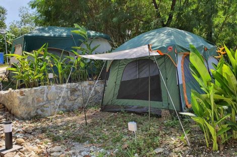 Camping