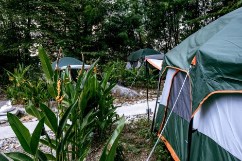 Camping